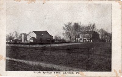 4500_072_Broad Axe PA Postcard_Triple Springs Farm, Narcissa PA